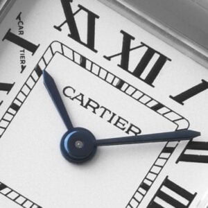 ĐỒNG HỒ NỮ CARTIER PANTHÈRE DE CARTIER WSPN0006 VÀNG REPLICA THỤY SỸ BVF 22X30MM 7 199f370928160e2 2