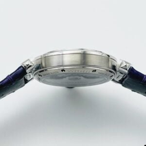 ĐỒNG HỒ DÂY ĐAI CARTIER PASHA WSPA0012 REPLICA 11 FACTORY 35MM 5 77ebbbc0d8d64a2 24